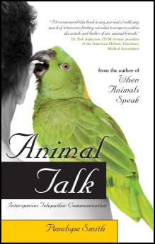 AnimalTalk cover/ parrot nibbling man's ear